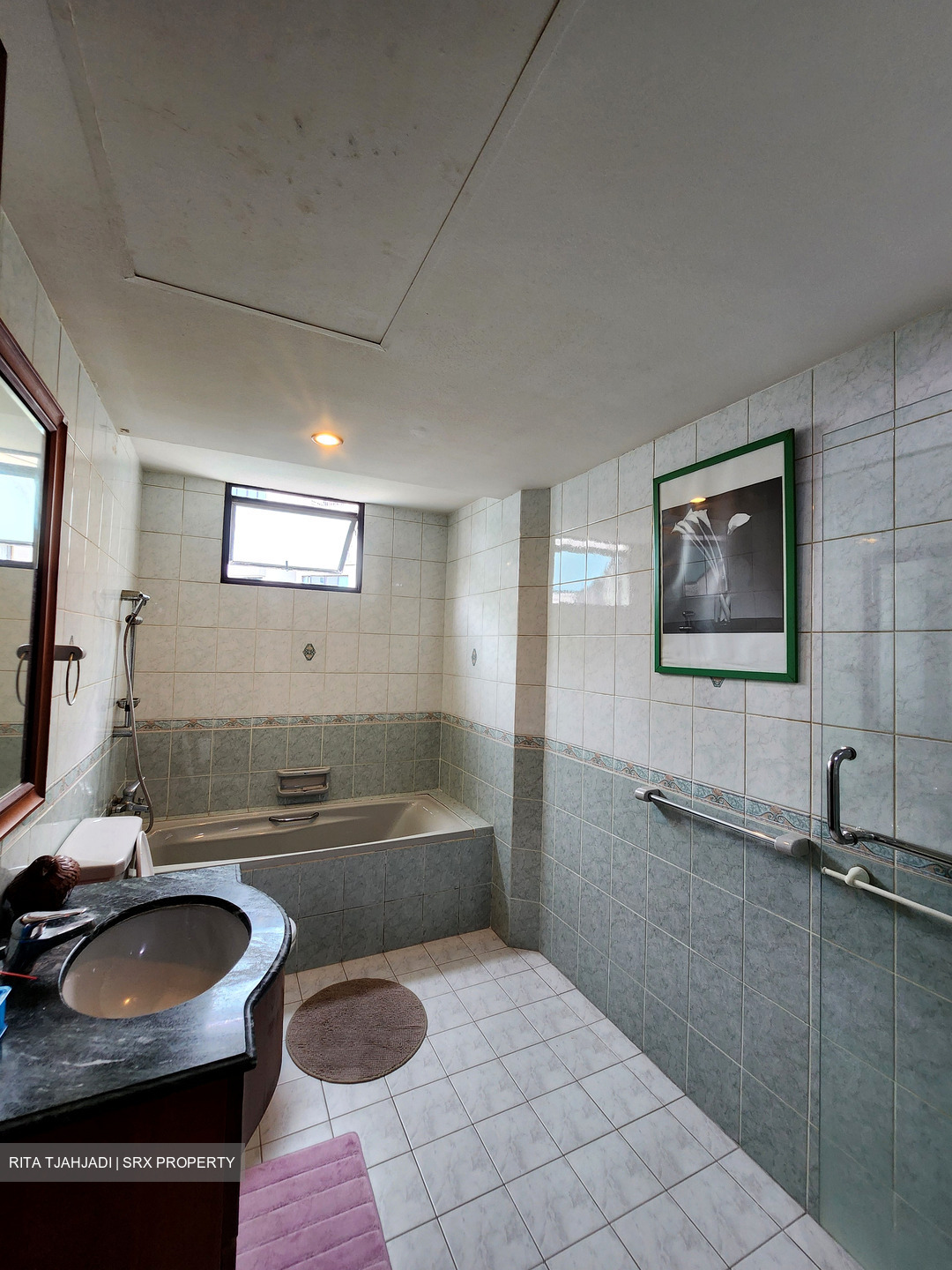 Simei Green Condominium (D18), Condominium #502213471